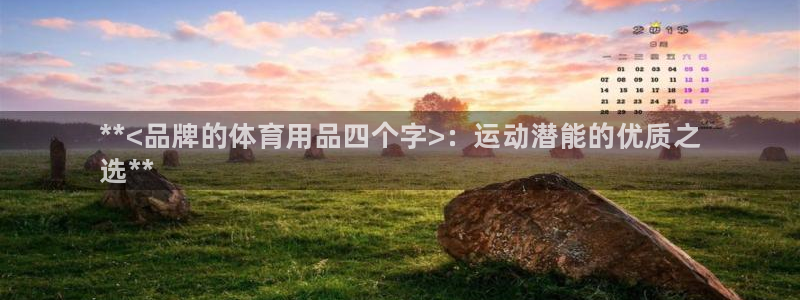 欧陆娱乐试玩官网：**<品牌的体育用品四个字>：运动