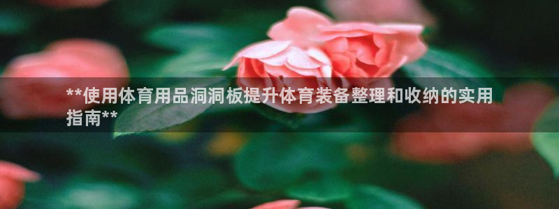 欧陆娱乐能赚钱吗知乎