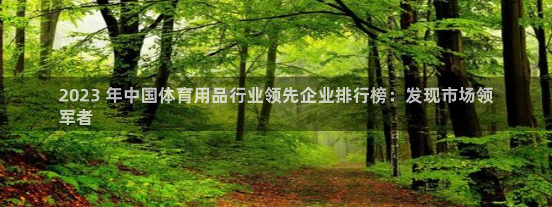 欧陆娱乐代理多少个点位：2023 年中国体育用品行业领先企业