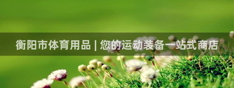 欧陆娱乐登录平台下载：衡阳市体育用品 | 您的运动装