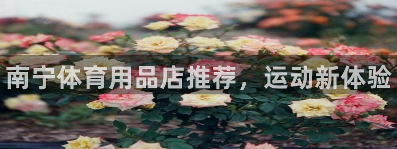 欧陆娱乐是正规平台吗安全吗可信吗知乎：南宁体育用品店