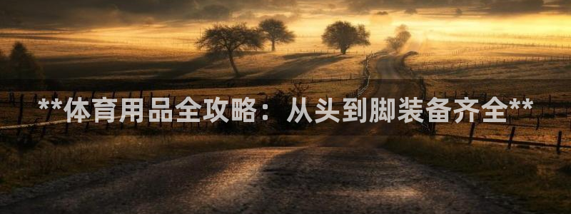 欧陆娱乐共创美好时刻：**体育用品全攻略：从头到脚装