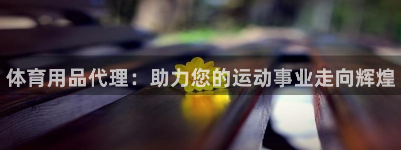 欧陆娱乐客服电话：体育用品代理：助力您的运动事业走向