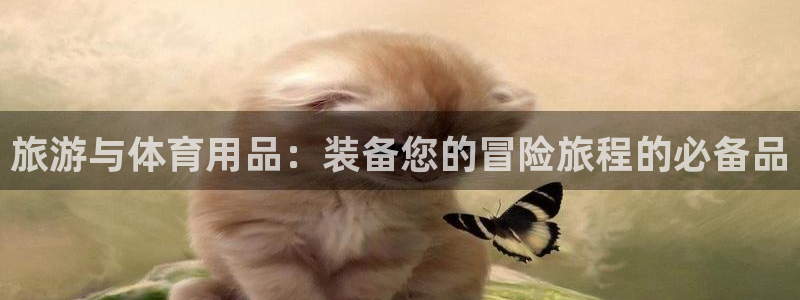 欧陆娱乐是正规平台吗安全吗可信吗知乎：旅游与体育用品