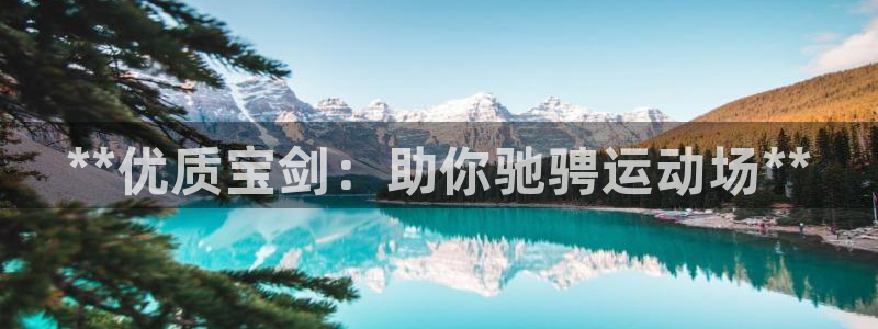 欧陆娱乐怎么注册帐号登录：**优质宝剑：助你驰骋运动