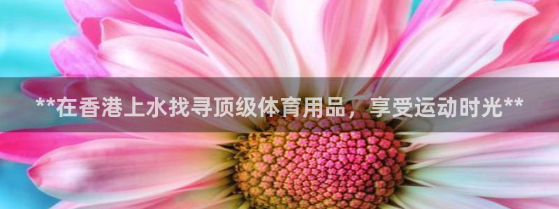 欧陆娱乐怎么注册账号登录：**在香港上水找寻顶级体育