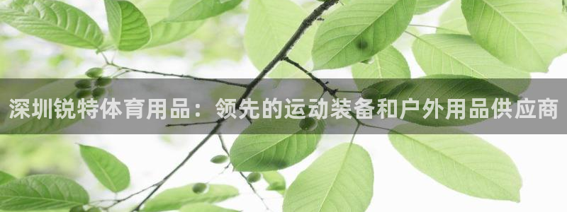 欧陆娱乐公司产品介绍图片：深圳锐特体育用品：领先的运