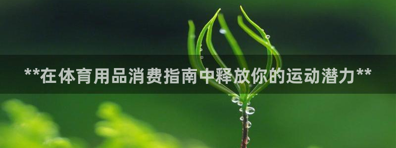 欧陆娱乐测速软件下载：**在体育用品消费指南中释放你