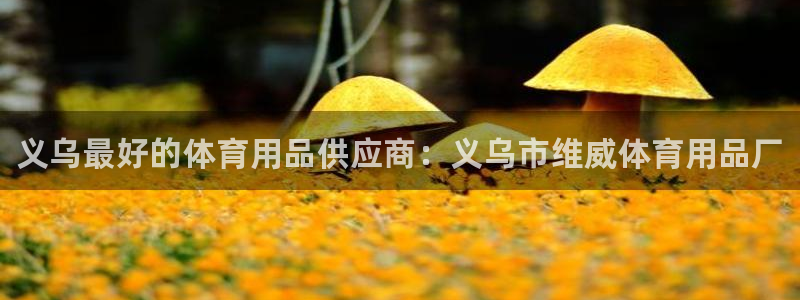 欧陆娱乐挂机怎么玩：义乌最好的体育用品供应商：义乌市维威体育