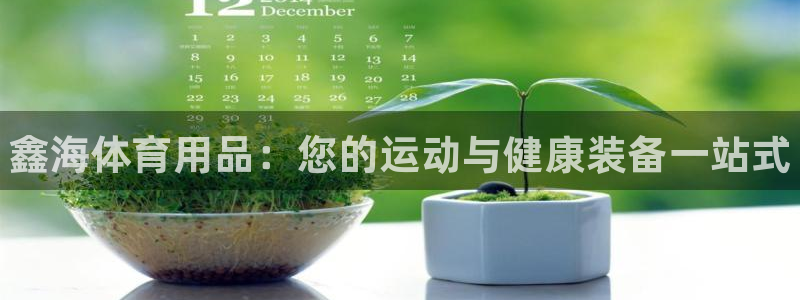 欧陆娱乐平台总代理：鑫海体育用品：您的运动与健康装备