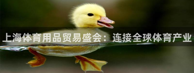 欧陆娱乐计划预测软件下载：上海体育用品贸易盛会：连接