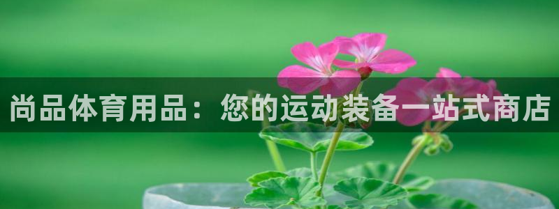 欧陆娱乐总代理电话：尚品体育用品：您的运动装备一站式商店