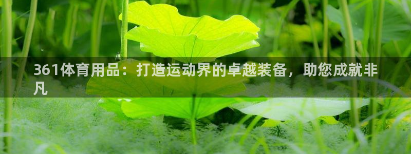 欧陆娱乐怎么注册会员账号啊：361体育用品：打造运动界的卓越