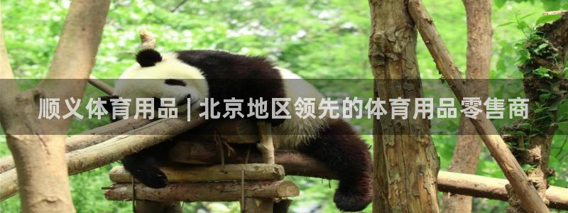 欧陆娱乐平台官网：顺义体育用品 | 北京地区领先的体育用品零